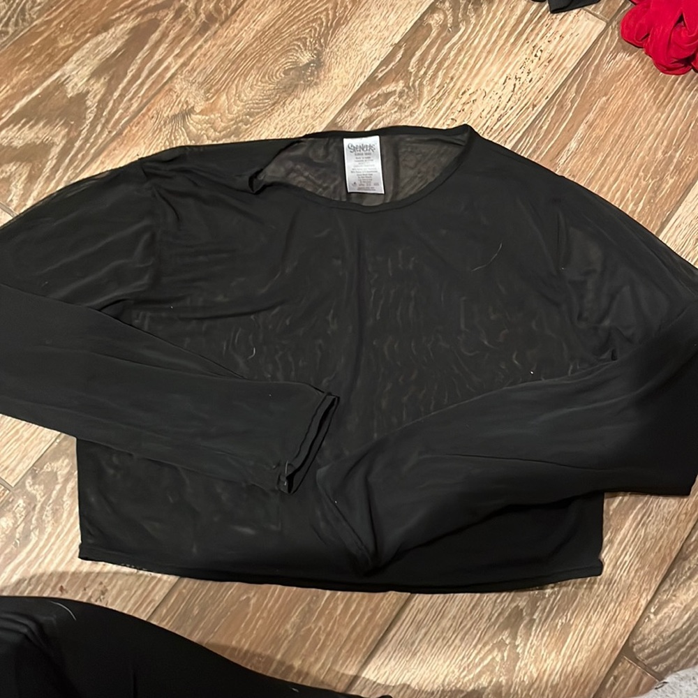 sheer long sleeve crop top 1X